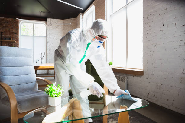 Why You Should Choose Our Mold Remediation Services in Skippers Corner, NC